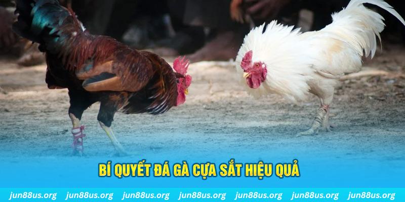 555win nổ hũ may mắn