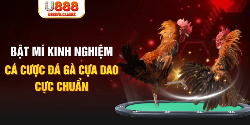 555win casino hồ tràm có cho người việt vào không