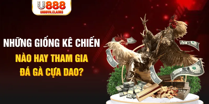 555win BG Trực Tuyến