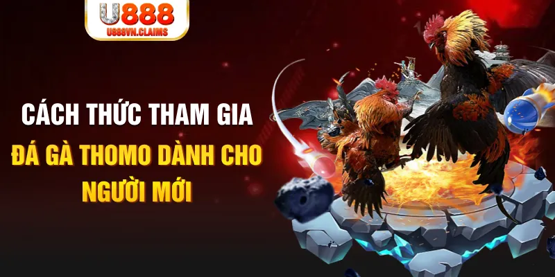 555win truc tiep da ga
