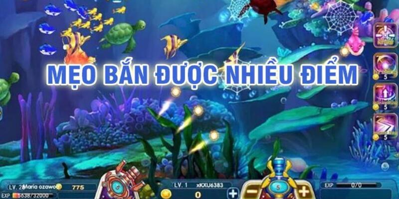 555win baccarat có lừa đảo không