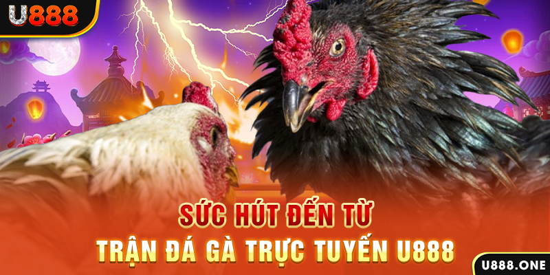 555win đăng nhập poker 2024