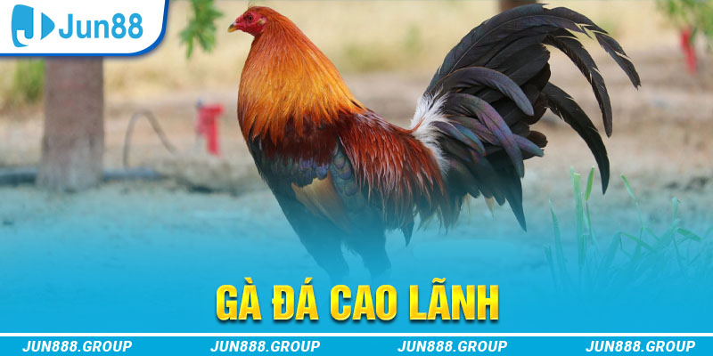 555win tai game vua bai ve may tinh