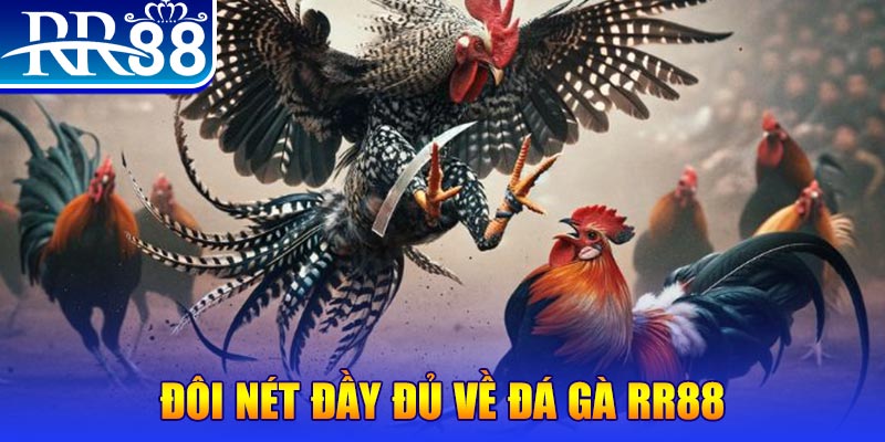 555win new88 ở trò chơi nổ hũ có bao nhiêu sảnh game