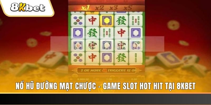 555win đá gà trực tiếp