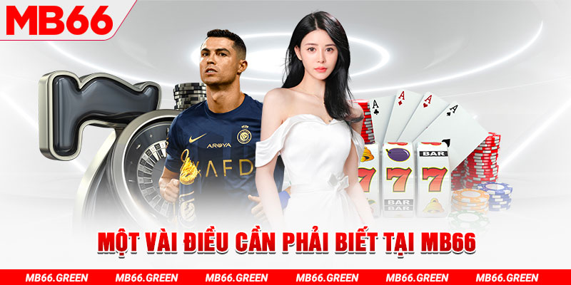 555win đăng nhập poker uy tín