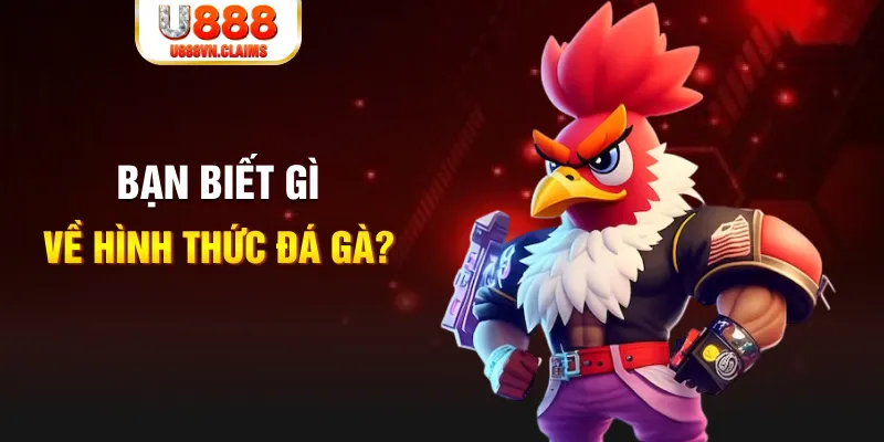 555win đăng nhập liêng tặng tiền