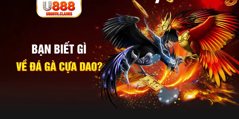 555win xo so mien bac
