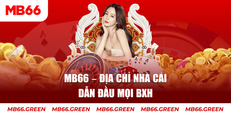 555win đá gà thomo