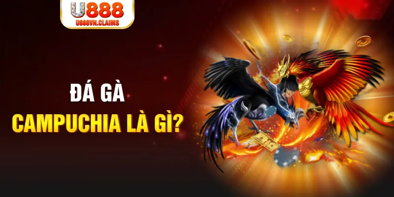 555win what is the best online casino for real money