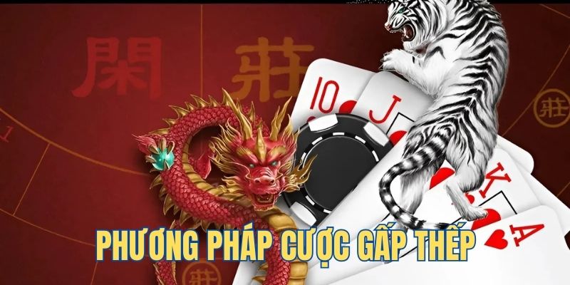 555win ga choi c1 tv