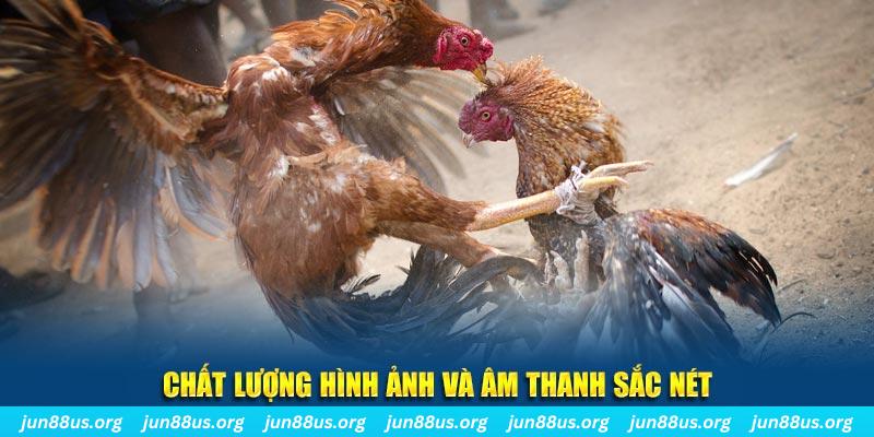 555win tai game danh bai mien phi ve may tinh