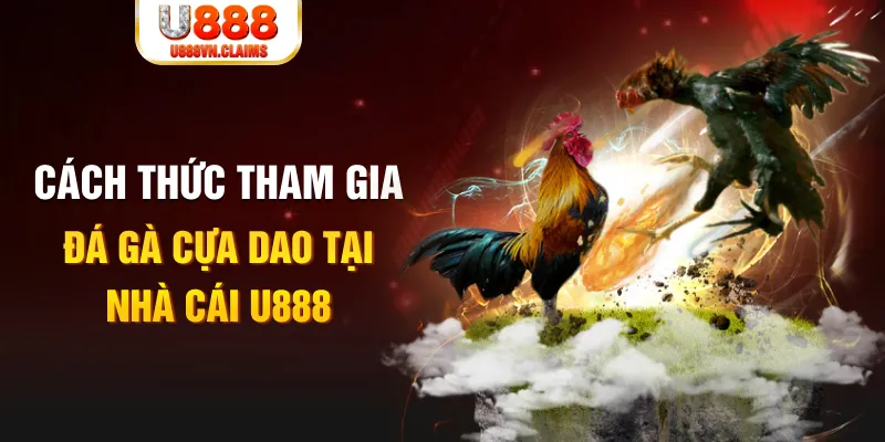 555win đá gà 88.com