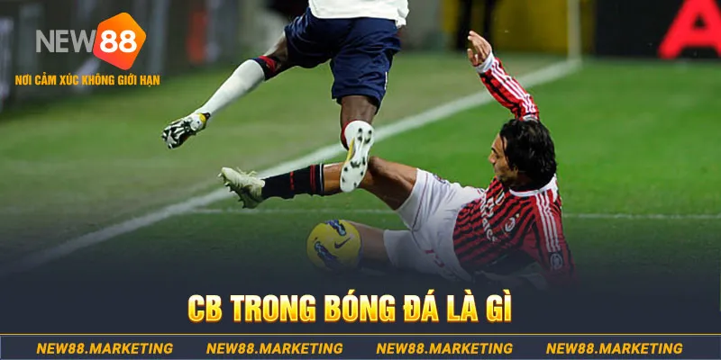 555win DG Trực Tuyến