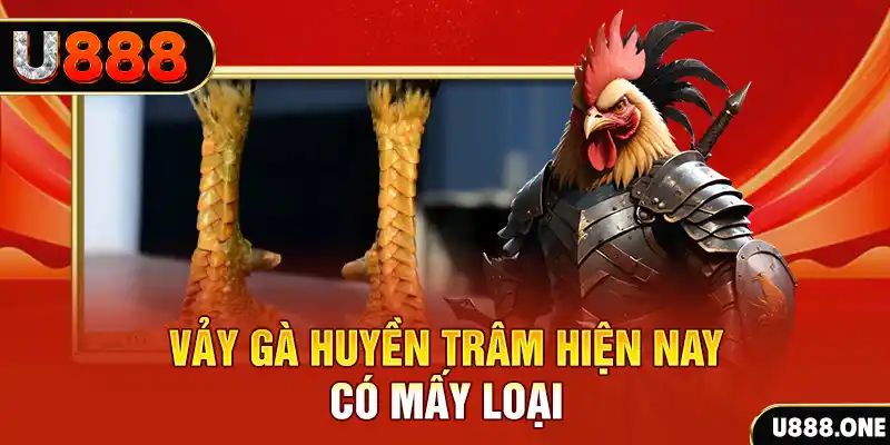 555win đăng nhập nổ hũ miễn phí