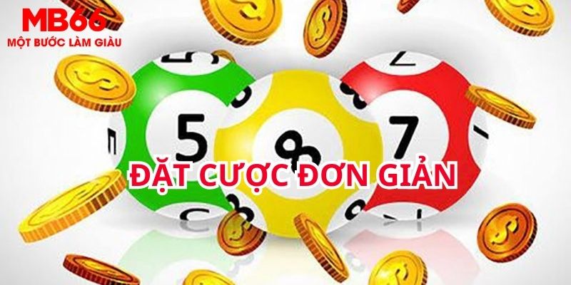 555win cá cược tiếng anh là gì