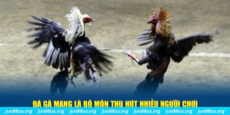 555win đăng nhập sòng bạc số 1