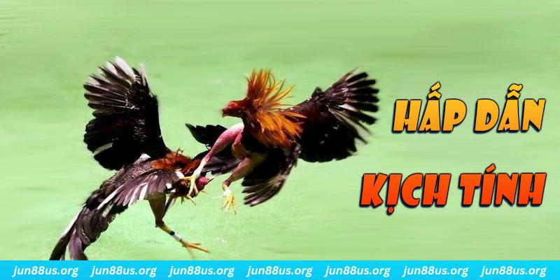 555win xổ số miền nam thứ sáu