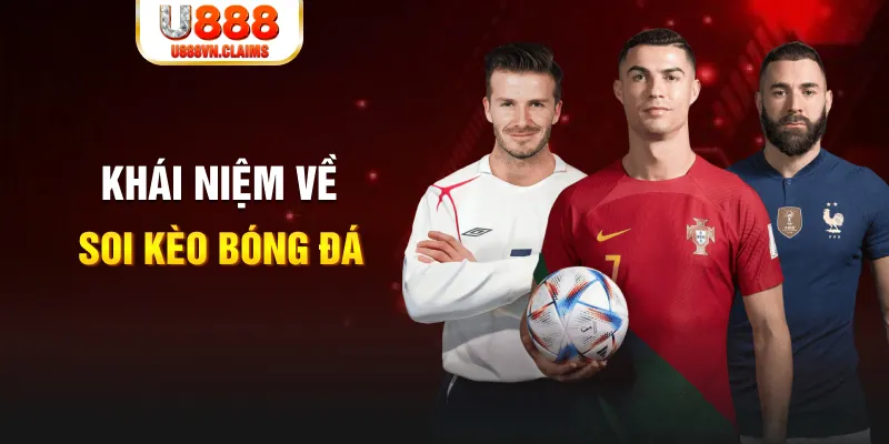 555win bắn cá online