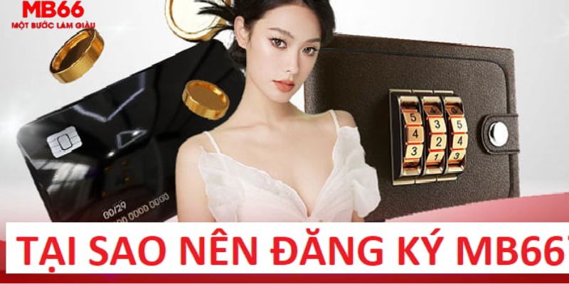 555win trực tiếp gà chọi c1