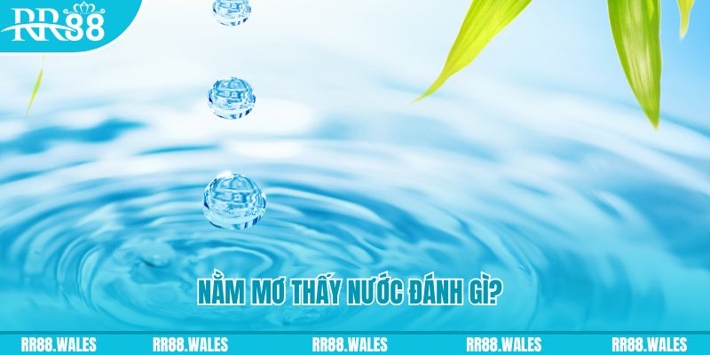 555win xổ số trực tiếp miền bắc