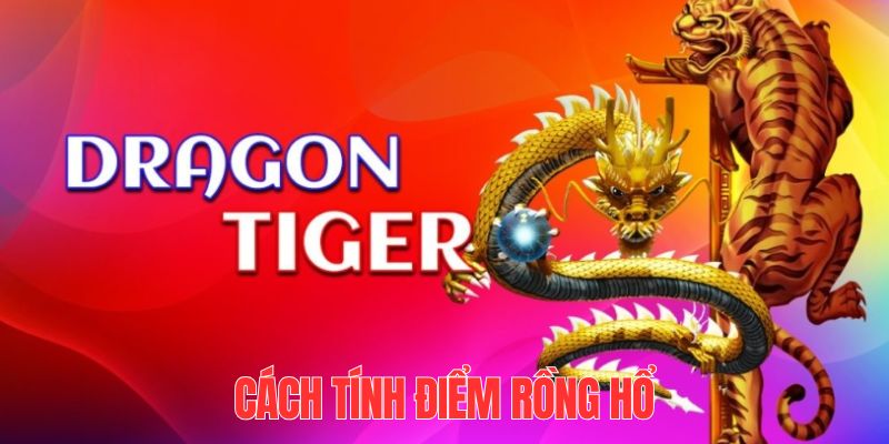 555win Tài Xỉu
