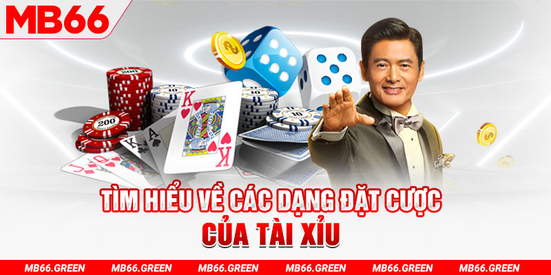 555win what is a casino loyalty program