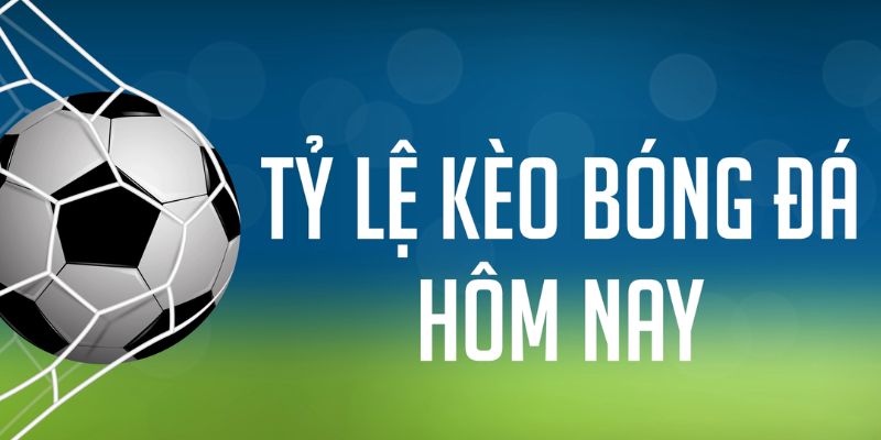 555win đăng nhập phỏm