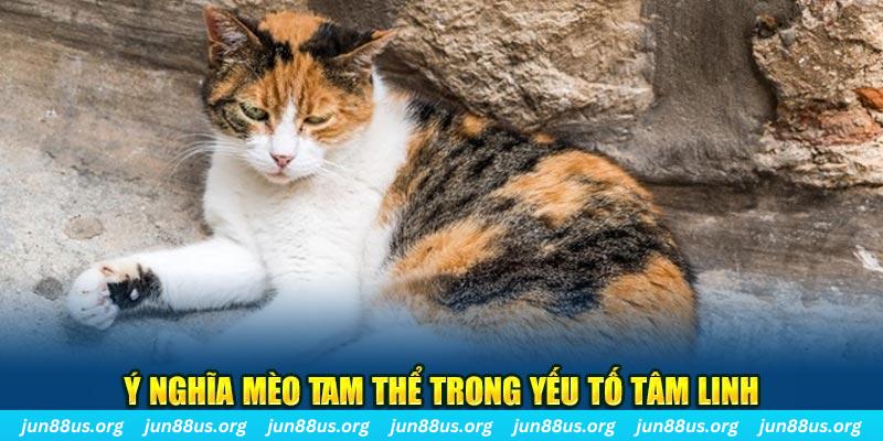 555win máy slot game là loại trò chơi gì？