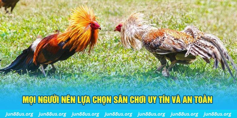 555win đăng nhập poker 2025