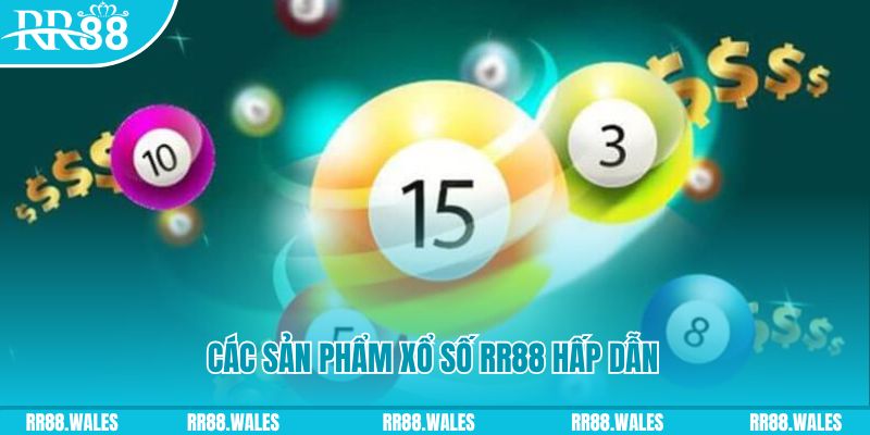 555win how to play roulette casino