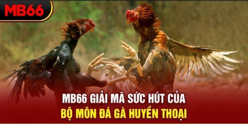555win xổ số đài bắc