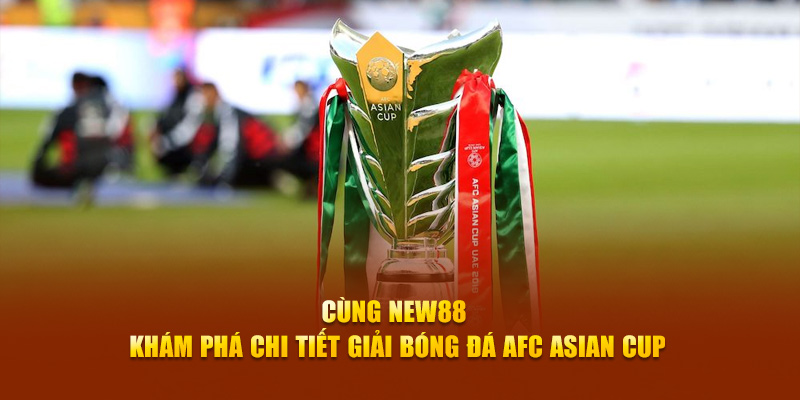 555win slot là gì dịch