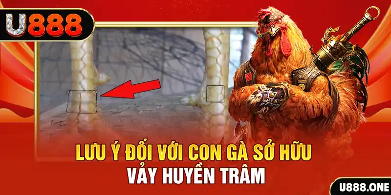 555win tải game đánh bài tiến lên miền nam về máy tính