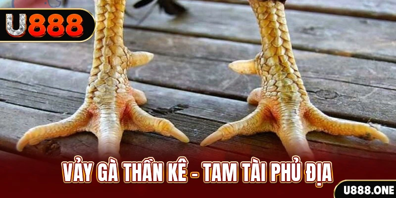 555win so xo mien trung