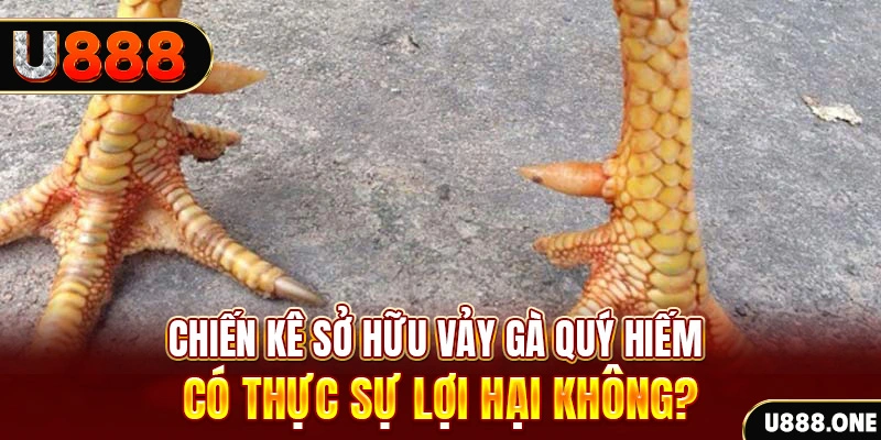 555win xổ số miền trung