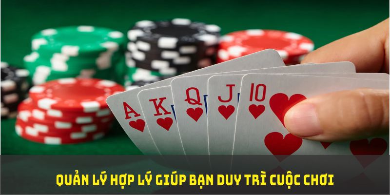 555win đá gà trực tiếp thomo 67
