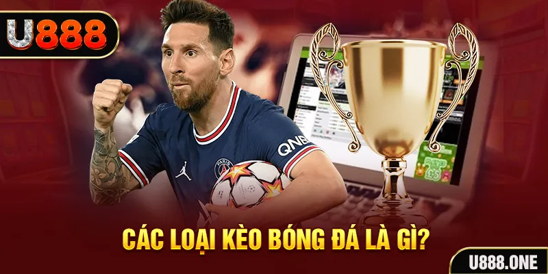 555win Tôm Cua Cá 2