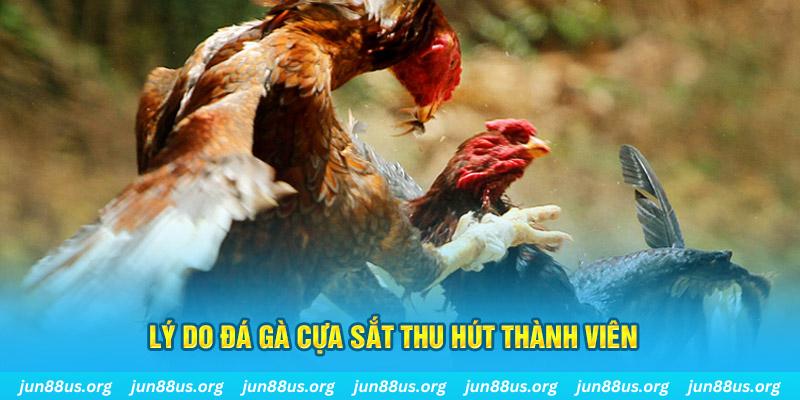 555win nổ hũ ăn bao nhiêu