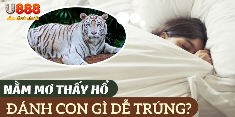 555win nohu .mx nổ hủ là gì