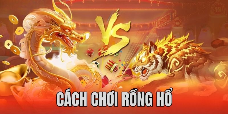 555win máy tính casino online
