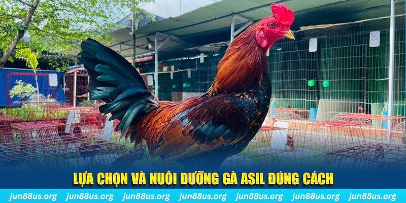 555win nổ hũ thần tài là gì