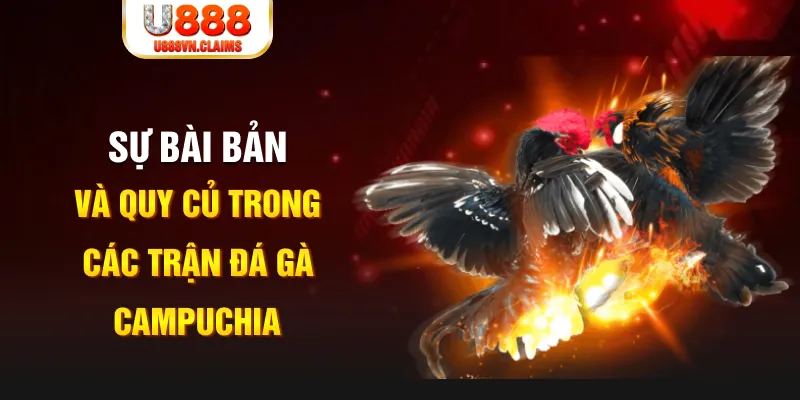 555win game xếp bài trên máy tính