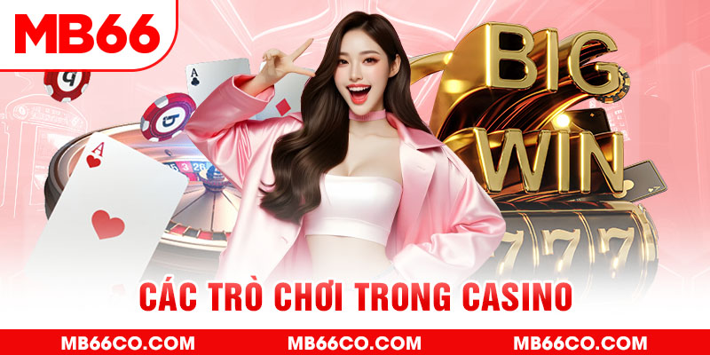 555win chổi lông gà