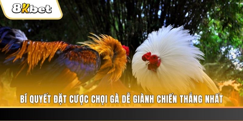 555win nổ hũ chơi như thế nào