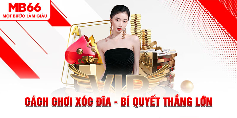 555win Đĩa màu ace