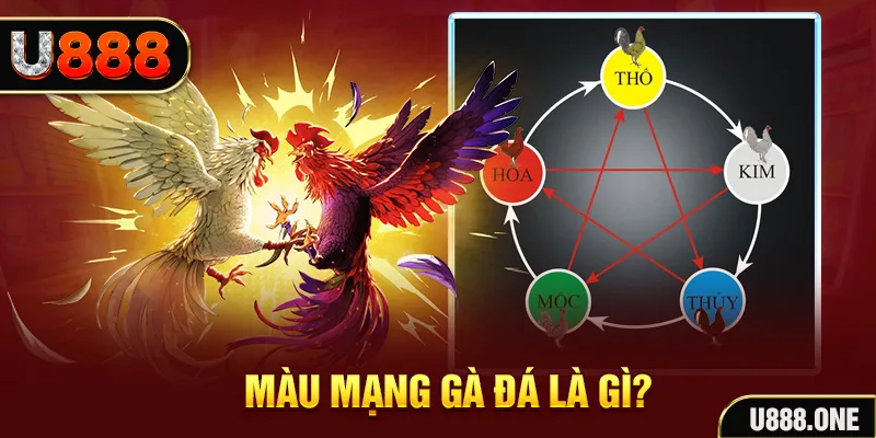 555win V8 Game Bài 3d