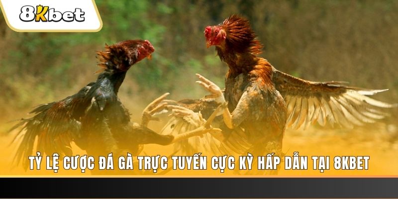 555win xổ số miền bắc chủ nhật