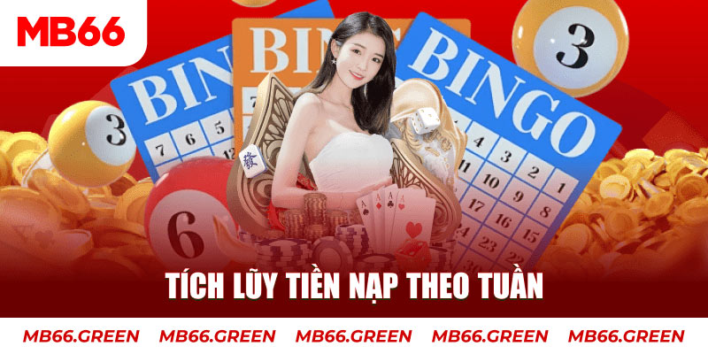 555win JDB Điện Tử