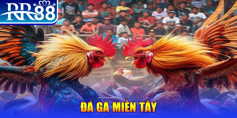 555win đăng nhập liêng đổi thưởng